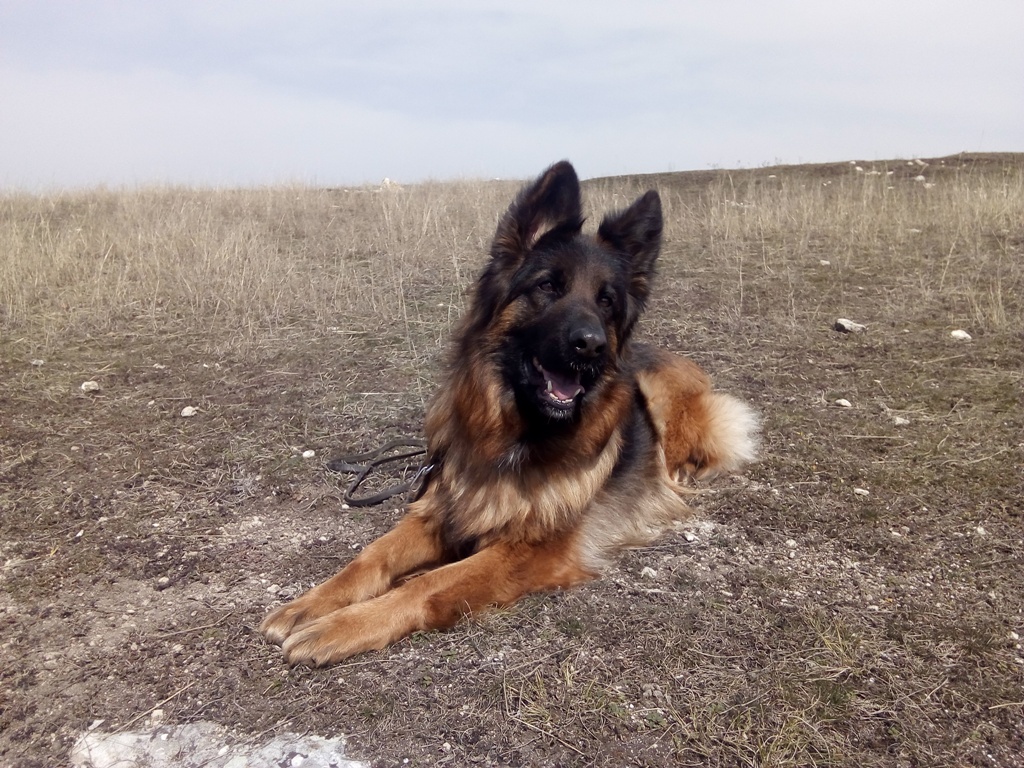 2 года 10 месяцев 7_0.jpg